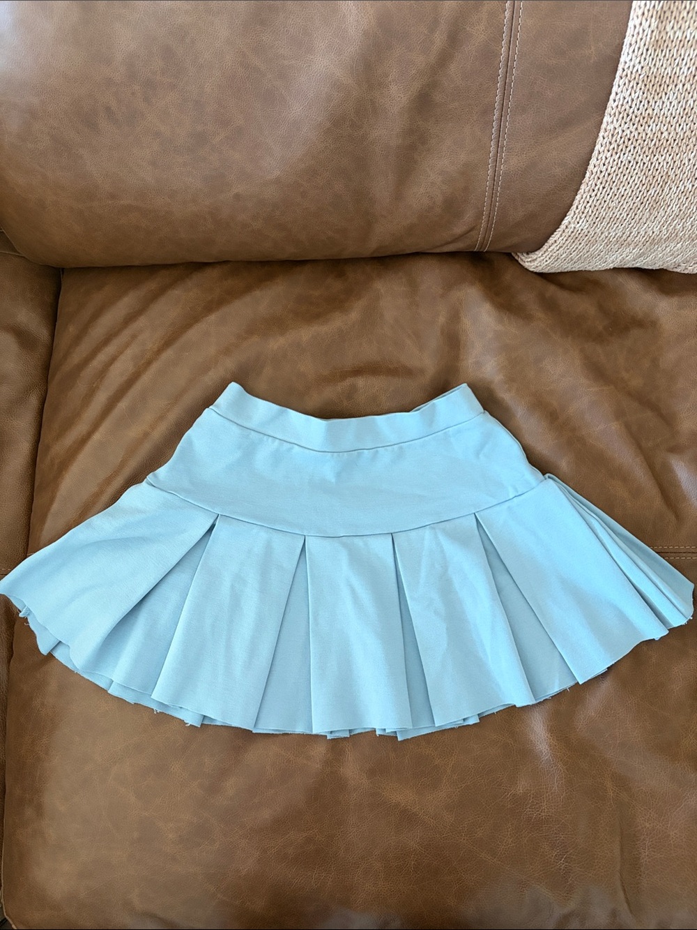 Blue Blush Light Blue Pleated Skater Skirt